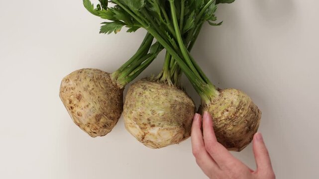 hand put fresh celery roots with greens on ligt surface top view food