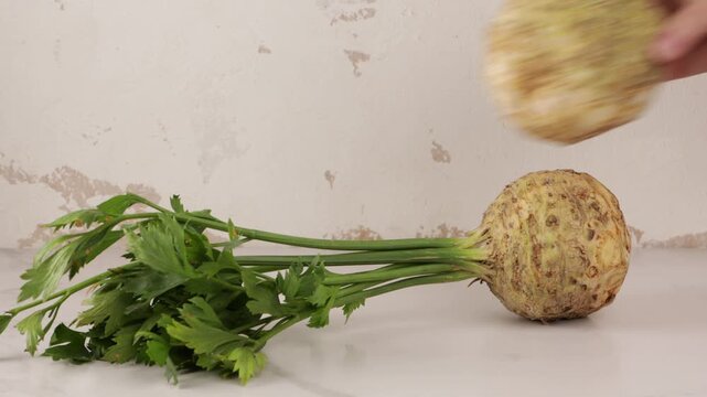 hands put celery roots on ligt surface fresh food