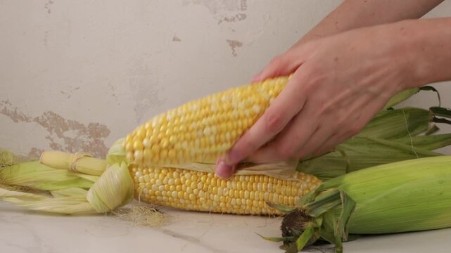 hands husk corn cob fresh food