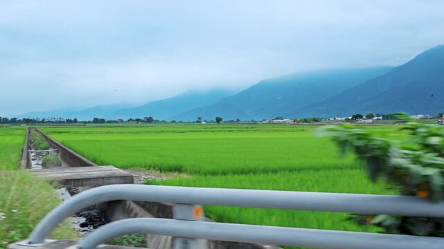 Car side window view of rice fields terrace farming plantation in East Longitudinal Valley,Taiwan
