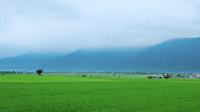 Car side window view of rice fields terrace farming plantation in East Longitudinal Valley,Taiwan