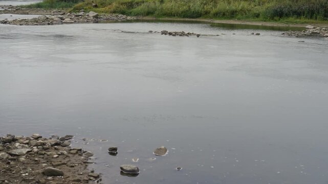 Record-low water levels reshape the Vistula riverbed and highlight changes in the ecosystem