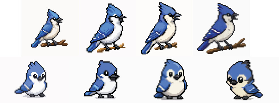 Set of cute blue jay bird pixel art characters