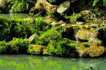 Tropical jungle waterfall in Thailand surrounded by lush green rainforest, moss-covered rocks, dense vegetation, and flowing water. The natural cascade creates a peaceful and refreshing scene © Yuliia
