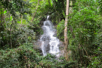 Tropical jungle waterfall in Thailand surrounded by lush green rainforest, moss-covered rocks, dense vegetation, and flowing water. The natural cascade creates a peaceful and refreshing scene © Yuliia