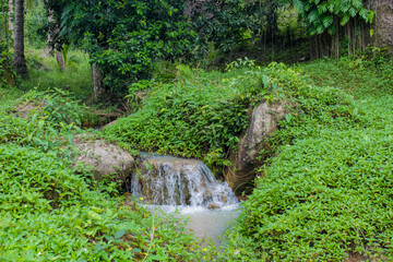 Tropical jungle waterfall in Thailand surrounded by lush green rainforest, moss-covered rocks, dense vegetation, and flowing water. The natural cascade creates a peaceful and refreshing scene © Yuliia