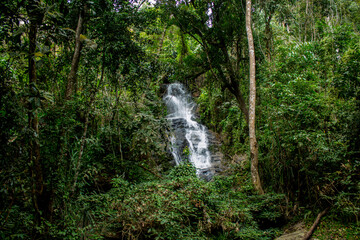 Tropical jungle waterfall in Thailand surrounded by lush green rainforest, moss-covered rocks, dense vegetation, and flowing water. The natural cascade creates a peaceful and refreshing scene © Yuliia