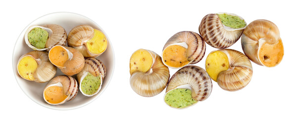 escargot snail filled with different fillings in ceramic bowl isolated on white background. Top view. Flat lay © kolesnikovserg
