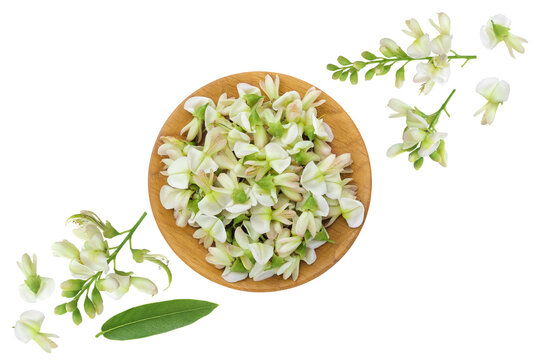 flowers of Sophora japonica or Styphnolobium japonicum in wooden bowl isolated on white background. Top view. Flat lay