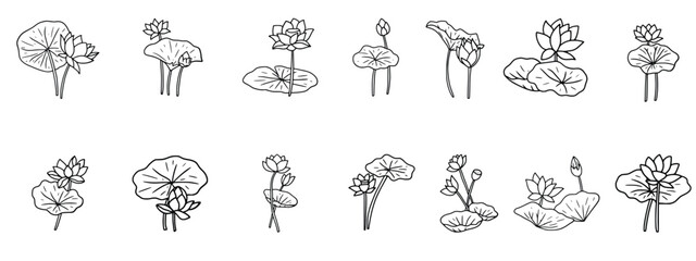 Fototapeta premium Hand-drawn black-and-white botanical line art set of blooming lotus flowers, buds, and leaves isolated on a white background.