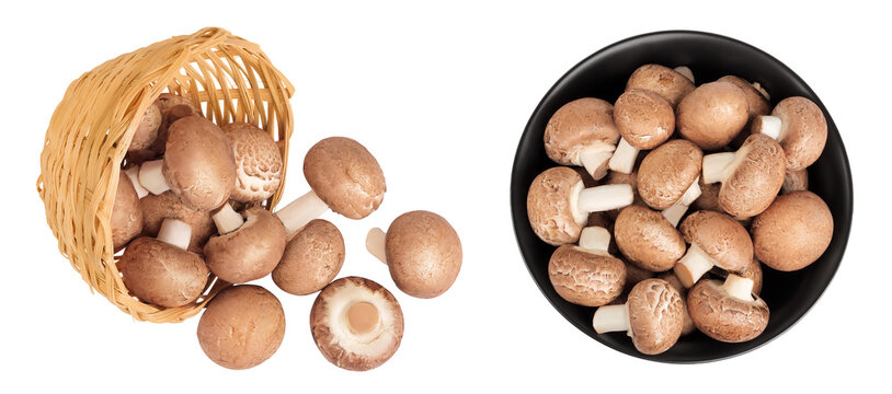 Brown champignon mushroom a wicker basket and ceramic bowl isolated on white background. Top view. Flat lay