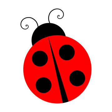 Cute red ladybug with black spots and curly antennae on white background, simple graphic illustration for children designs, baby showers, and nature themes.