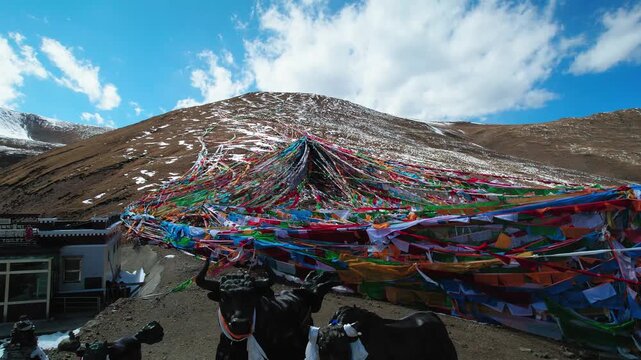 Aerial rise above prayer flags and people on a Tibetan hillside