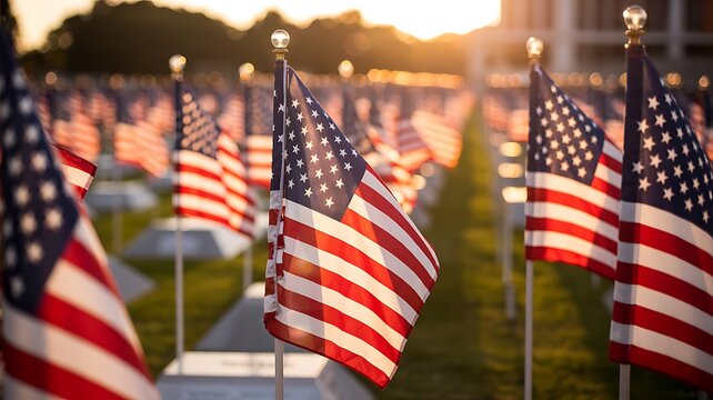 American flags displayed across a field in warm sunlight for a patriotic national celebration