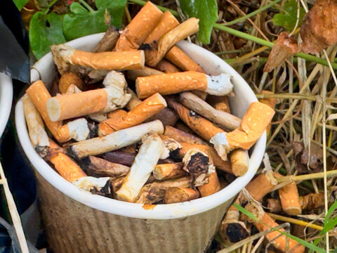 Discarded Cigarette Butts Overflowing from Paper Cup in Nature, Environmental Pollution and Litter Concept