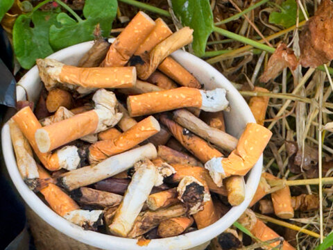 Discarded Cigarette Butts Overflowing from Paper Cup in Nature, Environmental Pollution and Litter Concept