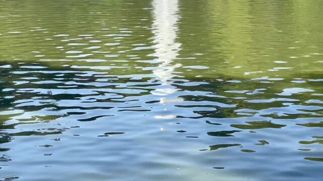 Lago de agua verde y estanque con ondas, pantano con reflejo, destello y brillo, ola relajante suave ripple