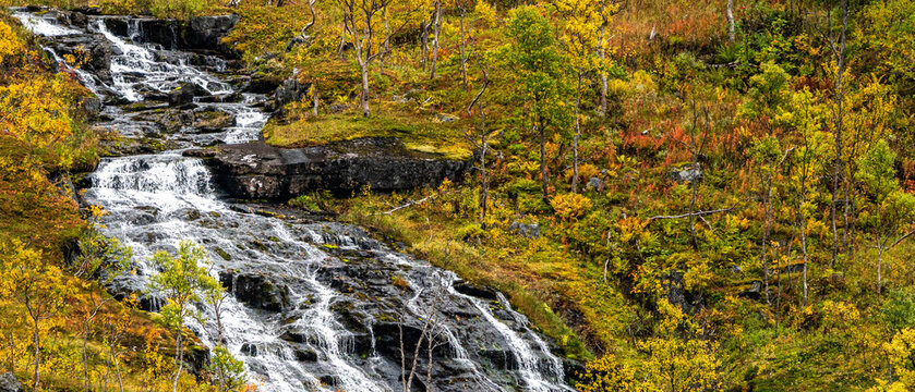 Scenic cascading waterfall flowing through colorful autumn birch forest in scandinavia