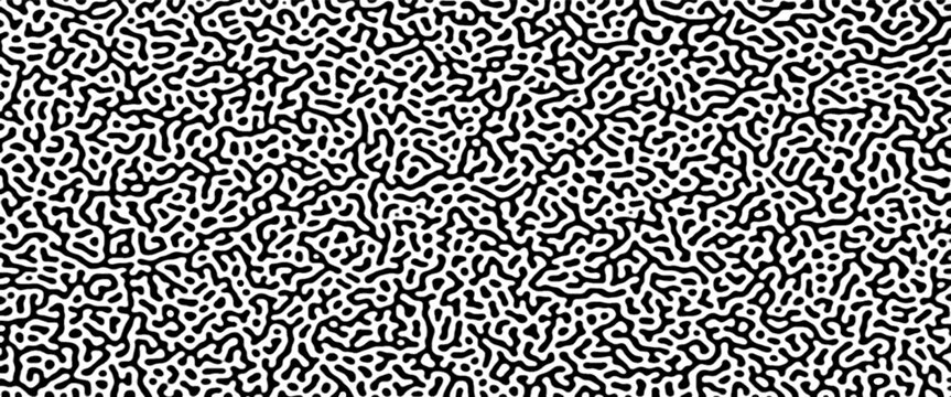 Overlay template abstract Turing organic wallpaper .Abstract truing organic wallpaper Turing reaction diffusion monochrome seamless pattern .turing pattern design background vector good for wallpaper.