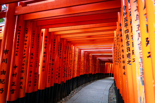 Famoso sendero Senbon Torii (los miles de portales torii) en el santuario sinto&iacute;sta Fushimi Inari-taisha, ubicado en la base de la monta&ntilde;a Inari en Kioto, Jap&oacute;n.