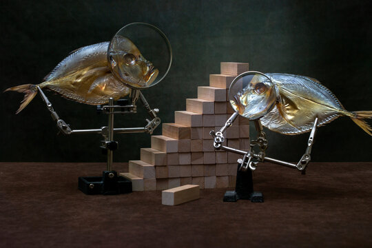 Two moonfish next to a pyramid made of wooden blocks.