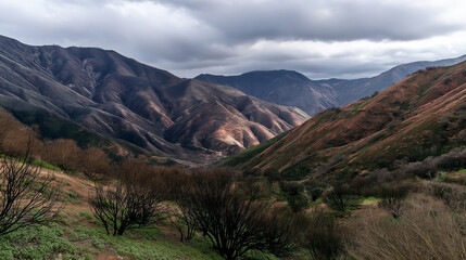 Fototapeta premium Mountain valley with rolling hills and bare trees under cloudy sky