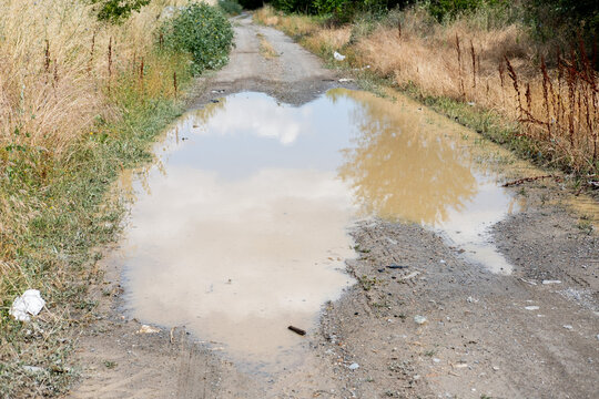 Dirt road puddle reflecting sky and trees, a natural muddy path through dry grass and bushes, rural environment