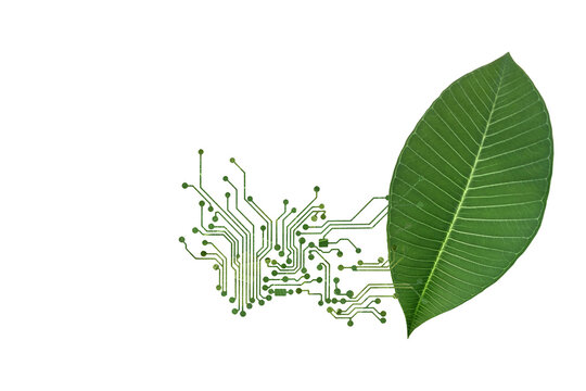 Electronic Circuit Board Green Leaf Technology Concept PNG
