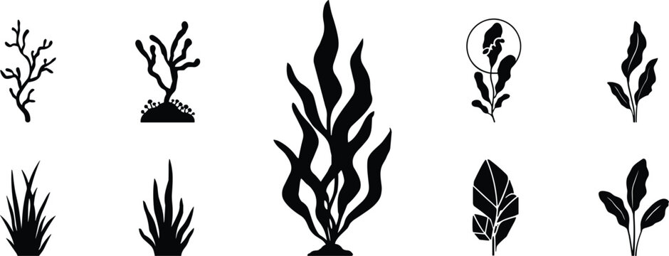 Underwater Seaweed and Kelp Silhouette Icon Set Featuring Aquatic Coral Marine Algae Sea Grass and Ocean Flora Symbols for Aquarium and Aquarium Designs