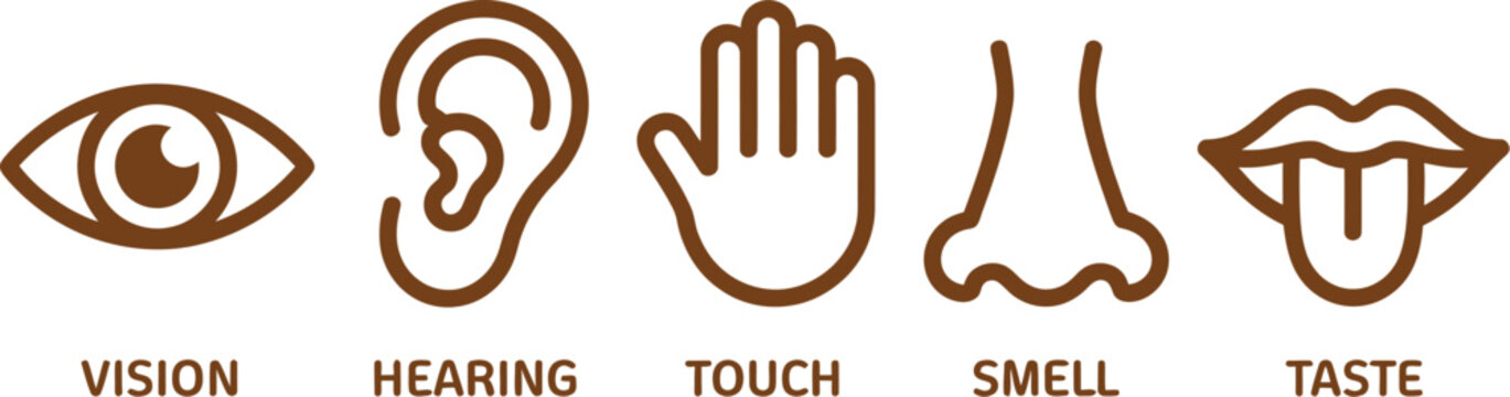 Five senses icon set featuring human sense organs for taste, sight, touch, smell, and hearing, with eye, ear, finger, nose, and lips symbols for healthcare, education, and vector design