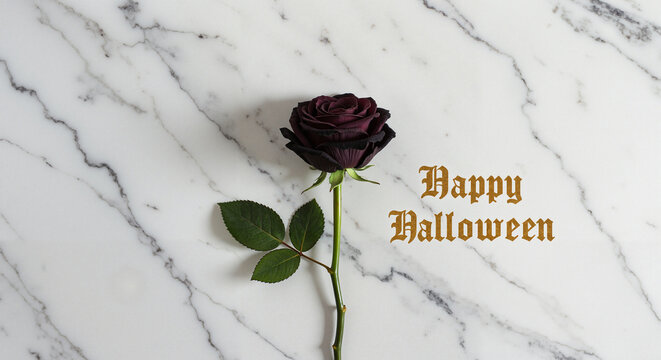 Dark purple rose with "Happy Halloween" text on marble background  