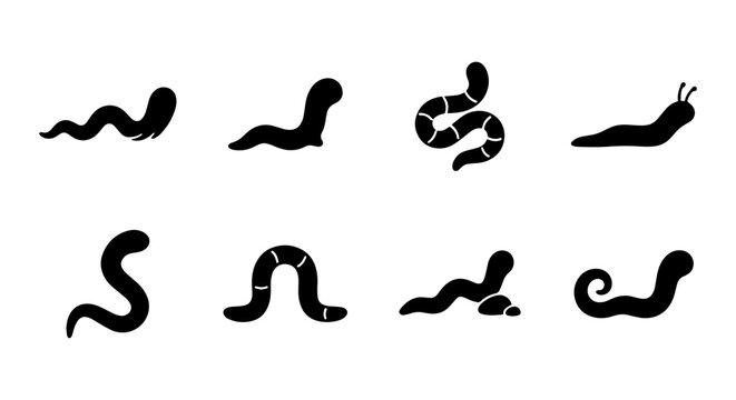 Worm and Snail Icons Set: Black Silhouette Vector Graphics for Nature and Garden Themes