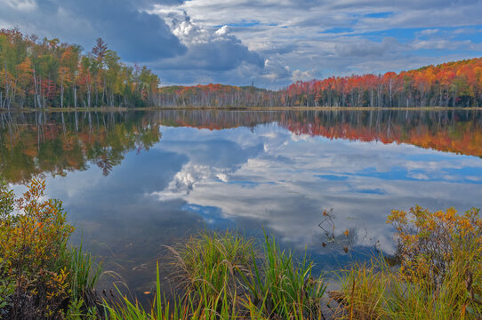 Autumn landscape of the shoreline Scout Lake with mirrored reflections in calm water, Hiawatha National Forest, Michigan's Upper Peninsula, USA