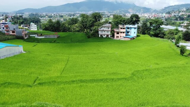 Aerial drone view of vibrant green agricultural fields bordered by a sprawling suburban settlement and colorful houses in a mountain valley.