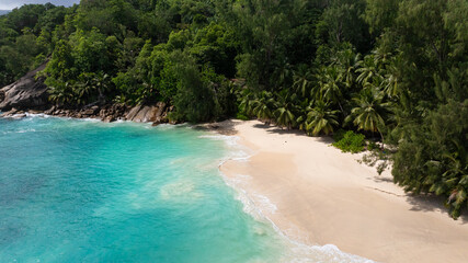 Naklejka premium White sandy beach bordered by turquoise waters and dense tropical palm trees. Seychelles, Mahe. Anse Soleil.