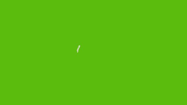 White Hand Drawn Brush Stroke Animations on Green Screen. Curved Lines, Swirls, Loops and Circles Draw On and Wipe Off at Random Positions. Chroma Key Elements