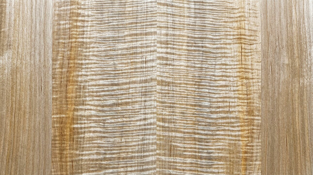 Close-up of Polished Fiddleback Eucalyptus Wood Grain Texture