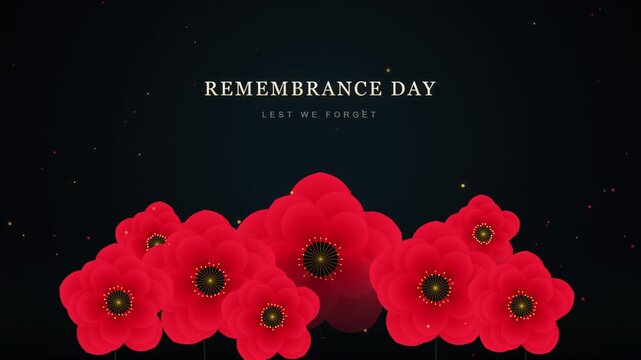 Remembrance day memorial motion background with red poppies and floating particles