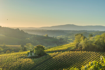 Obraz premium San Gimignano Vineyards and Hills Sunrise in Tuscany