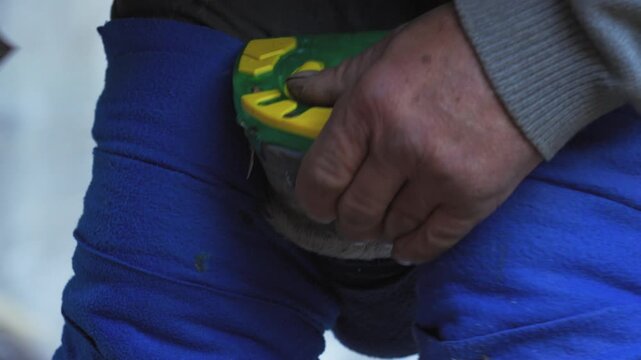 Farrier installing plastic horseshoe on horse hoof, closeup detail to securing metal pins with hammer