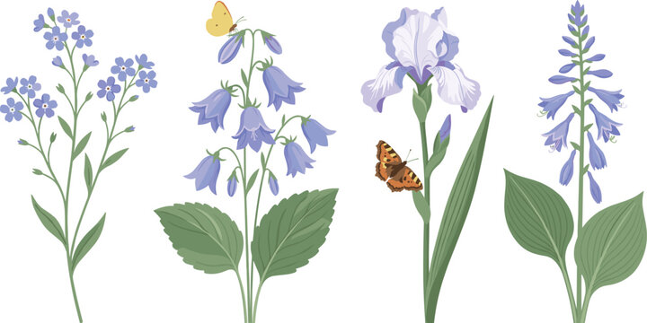 Purple and blue wildflower collection featuring blooming forget me not bluebell iris and hosta vector illustration set