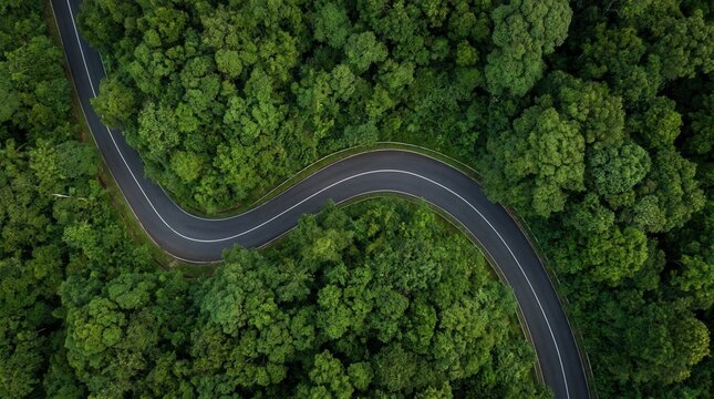 View from above of a winding road traversing a dense green forest canopy