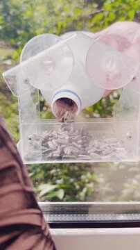 Squirrel feeding from a diy recycled bird feeder outdoors