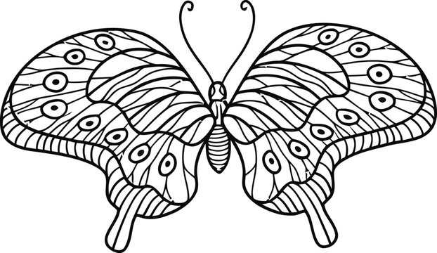 Web Intricate swallowtail butterfly line art vector illustration for adult coloring book, hand drawn zentangle butterfly