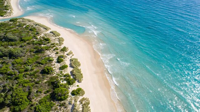 A pristine coastline combines turquoise water, clean sand and healthy coastal vegetation