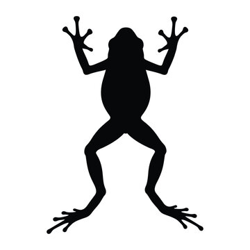 Frog Silhouette Standing Front View Arms Raised Black Vector Icon
