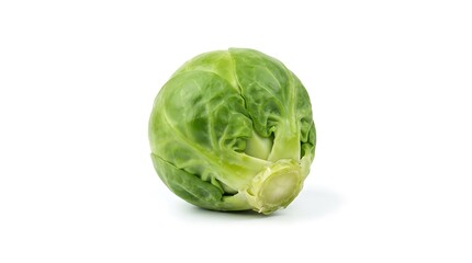 Fototapeta premium Fresh raw green brussels sprout isolated on white background healthy vegetarian culinary ingredient