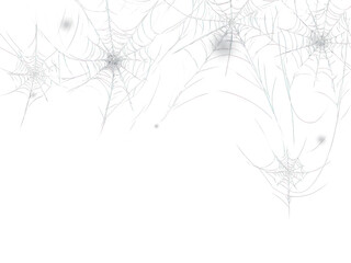 Fototapeta premium PNG Abstract glowing spider webs on a dark black background
