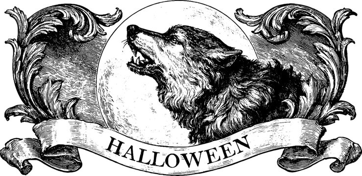Antique engraved halloween banner with howling werewolf and full moon for spooky poster and label design