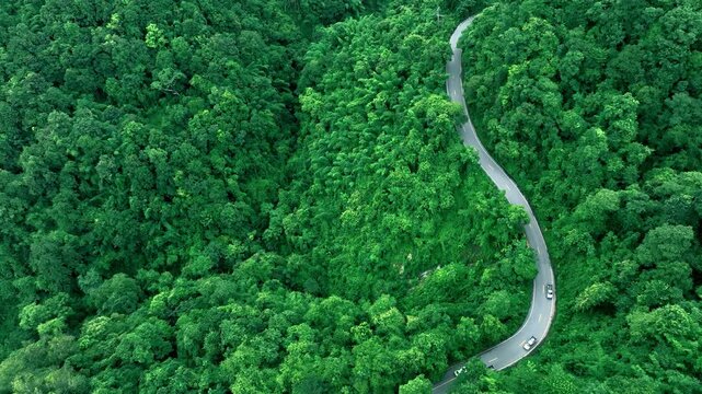 Aerial view of a winding forest road surrounded by dense tropical trees, representing ESG leadership, Sustainability Report, Annual Report, Green Finance, Net Zero Strategy, Carbon Credit initiatives